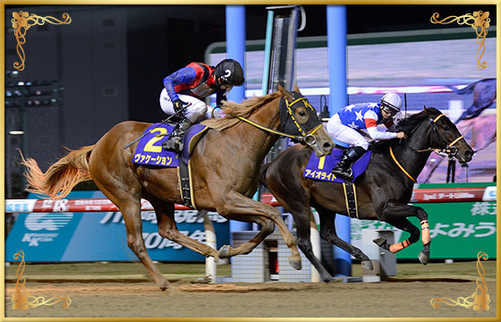 2019年優勝馬　ヴァケーション号(外)