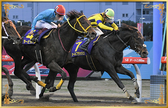 2020年優勝馬　オールブラッシュ号(内)