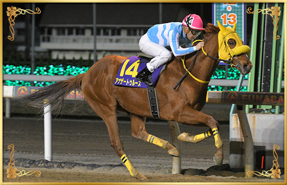 2020年優勝馬 アナザートゥルース号