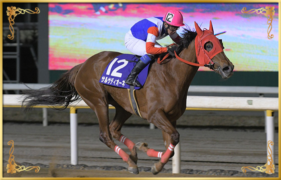 2020年優勝馬 サルサディオーネ号