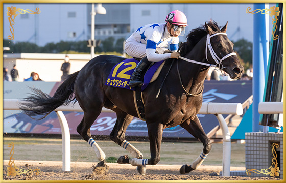 2020年優勝馬　チュウワウィザード号