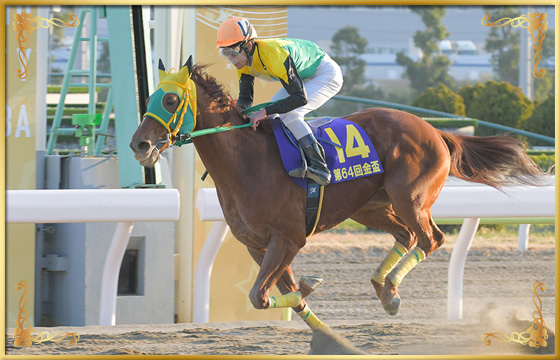 2020年優勝馬　サウンドトゥルー号