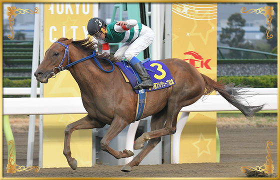 2020年優勝馬　トロヴァオ号