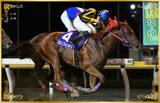 2020年優勝馬　カジノフォンテン号