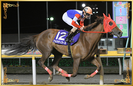2020年優勝馬 サルサディオーネ号