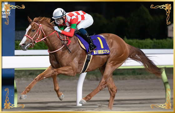 2020年優勝馬 ジャスティン号