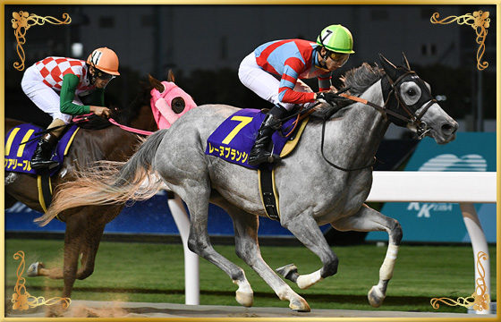 2020年優勝馬 レーヌブランシュ号