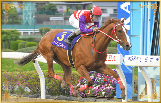 2020年優勝馬　ストロングハート号