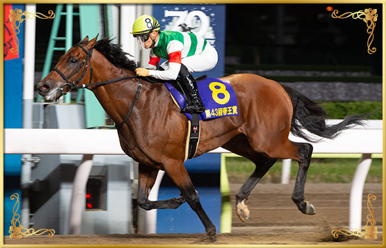 2020年優勝馬 クリソベリル号