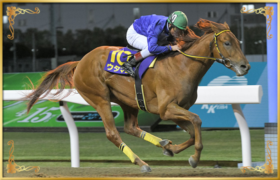 2020年優勝馬 ウタマロ号