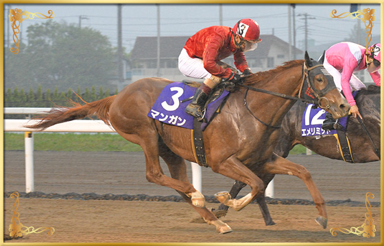 2020年優勝馬　マンガン号