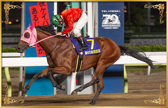 2020年優勝馬　ゴールドホイヤー号