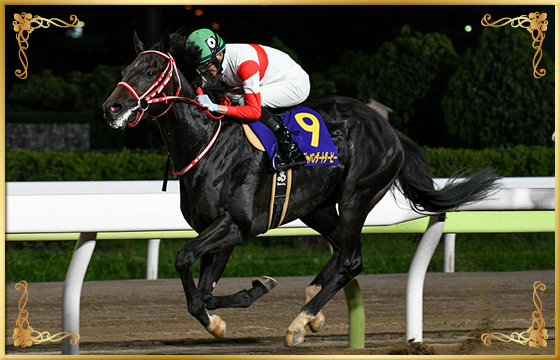 2020年優勝馬 ダノンファラオ号