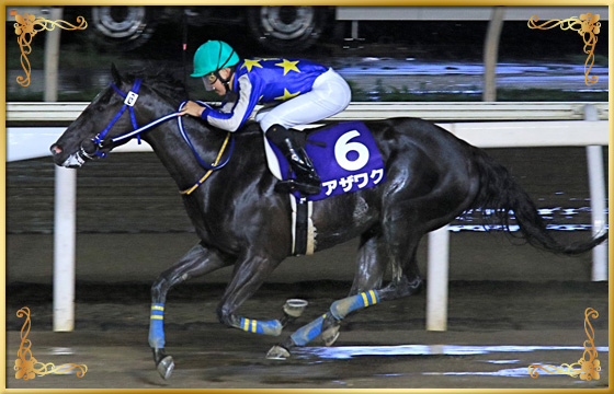 2020年優勝馬 アザワク号