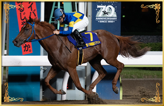 2020年優勝馬　カプリフレイバー号