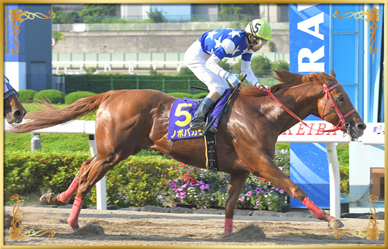 2020年優勝馬 ノボバカラ号