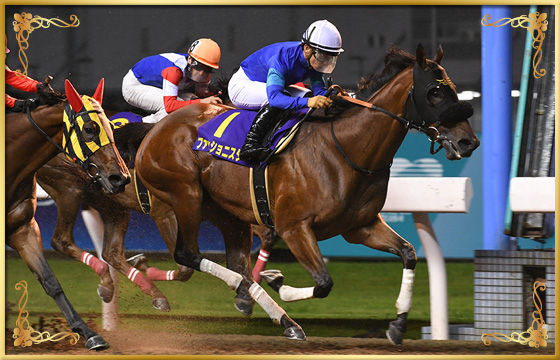 2020年優勝馬 ファッショニスタ号