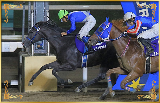 2020年優勝馬 サイダイゲンカイ号(内)