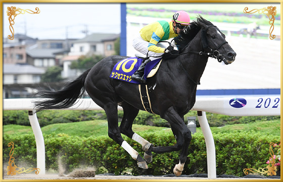 2020年優勝馬　サクセスエナジー号