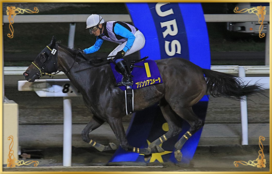 2020年優勝馬 プリンシアコメータ号