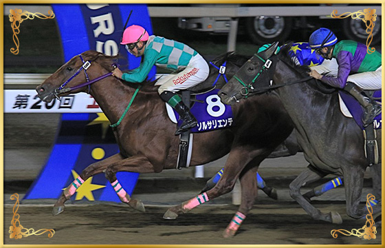 2020年優勝馬 ソルサリエンテ号