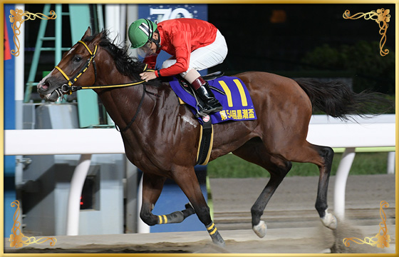 2020年優勝馬 インペリシャブル号