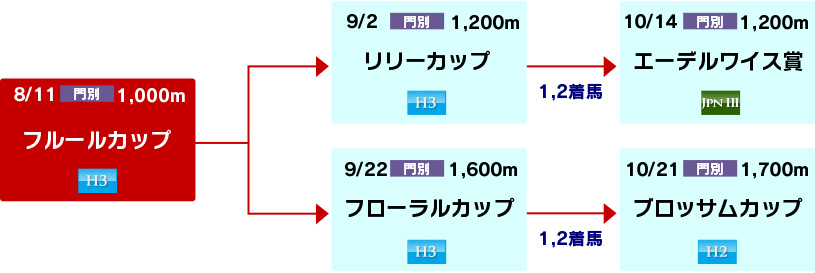 体系図　～ホッカイドウ競馬2歳牝馬～