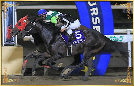 2020年優勝馬 ラッキードリーム号(内)