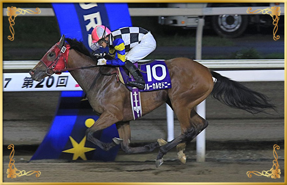 2020年優勝馬 ブルーカルセドニー号