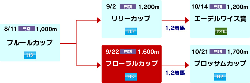 体系図　～ホッカイドウ競馬2歳牝馬～