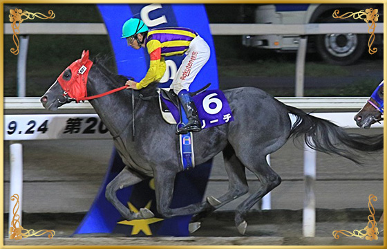 2020年優勝馬 リーチ号