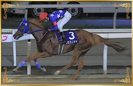 2020年優勝馬 ソロユニット号