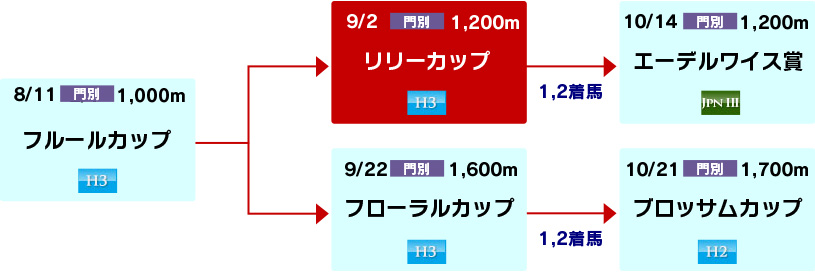 体系図　～ホッカイドウ競馬2歳牝馬～