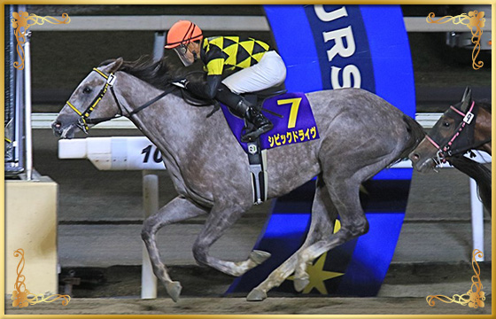 2020年優勝馬　シビックドライヴ号