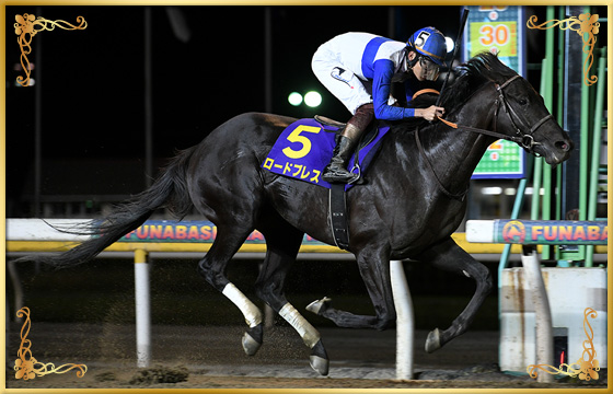 2020年優勝馬 ロードブレス号