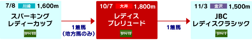 体系図　～Road to JBCレディスクラシック～