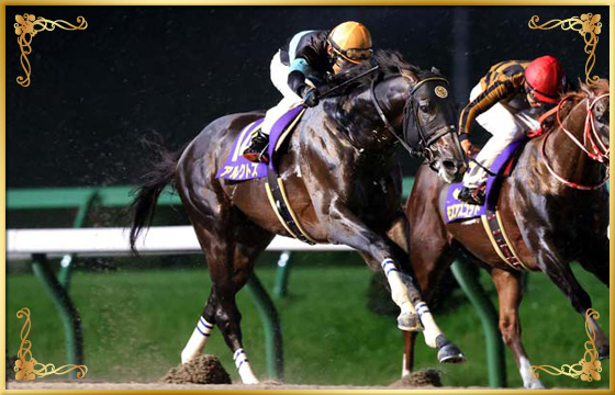 2020年優勝馬 アルクトス号