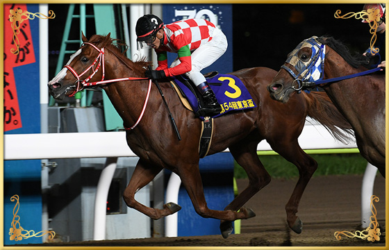 2020年優勝馬 ジャスティン号