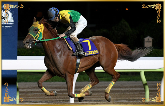 2020年優勝馬　サウンドトゥルー号