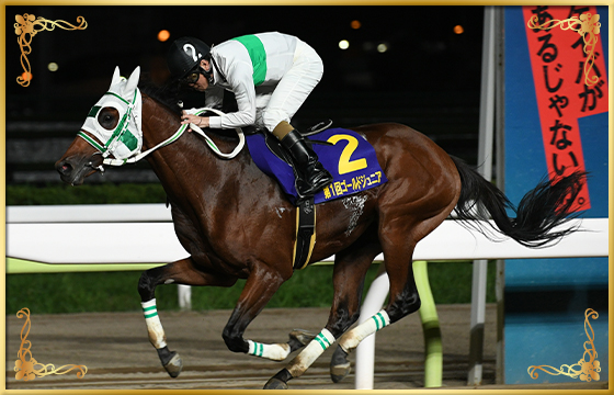 2020年優勝馬　アランバローズ号