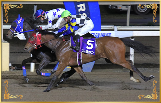 2020年優勝馬 モリノオーシャン号(内)