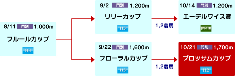 体系図　～ホッカイドウ競馬2歳牝馬～