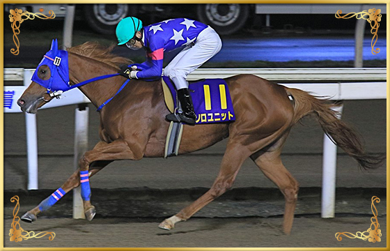 2020年優勝馬 ソロユニット号