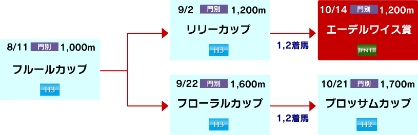 体系図　～ホッカイドウ競馬2歳牝馬～