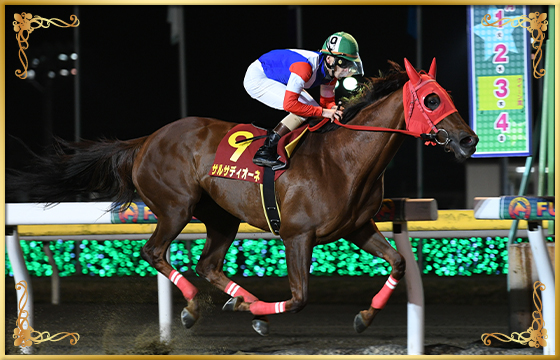 2020年優勝馬 サルサディオーネ号