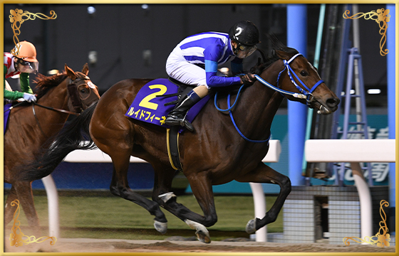 2020年優勝馬　ルイドフィーネ号