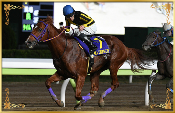 2020年優勝馬　カジノフォンテン号