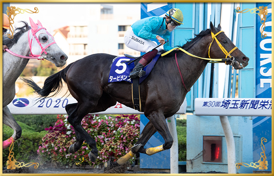 2020年優勝馬　タービランス号