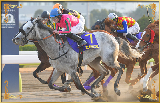 2020年優勝馬 オメガパフューム号