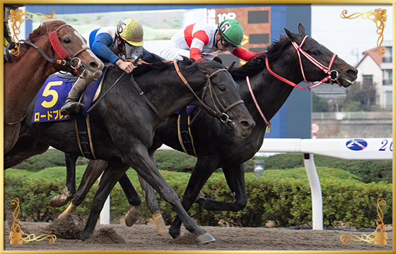 2020年優勝馬 ダノンファラオ号(最内)